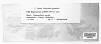 Image Associated With the Occurence